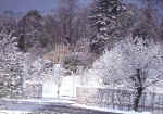 Culzean Park in the snow